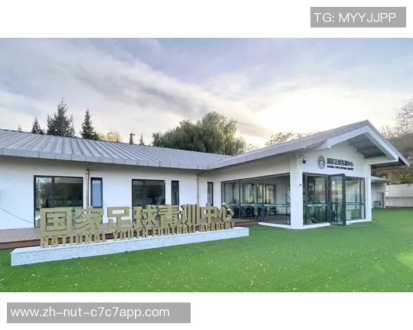 足球提提踏踏的乐趣与激情探秘球场背后的故事与梦想